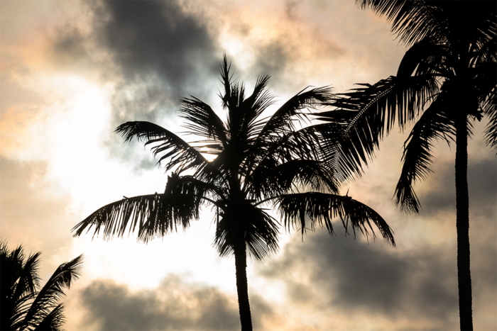 Subtle Shades of Sunset