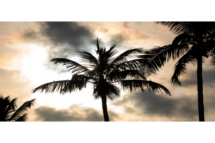 Subtle Shades of Sunset - Image 2