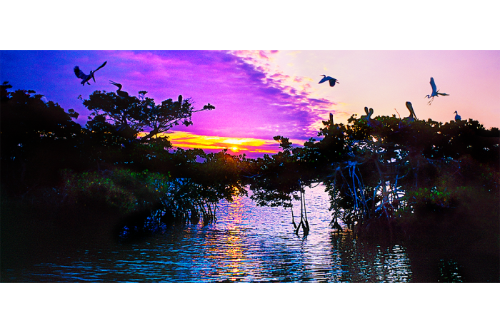 Sunrise at Mangrove Bridge - Image 2