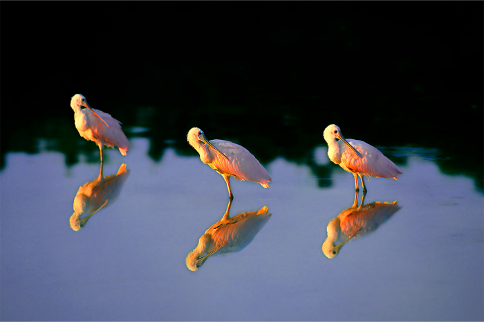 Synchronicity