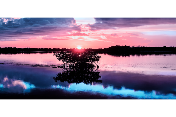Tiers of Twilight - Image 2
