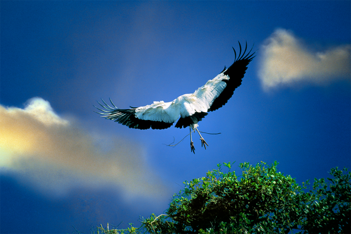 To Touch the Sky
