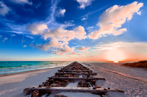 Tracks of Time