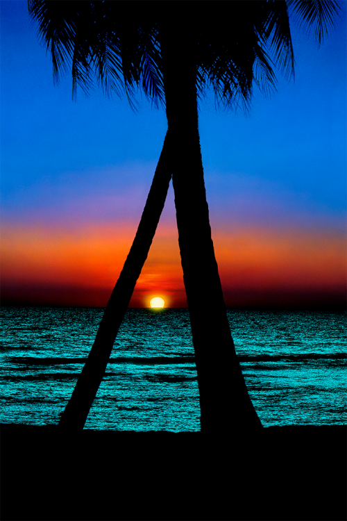Tropical Blues