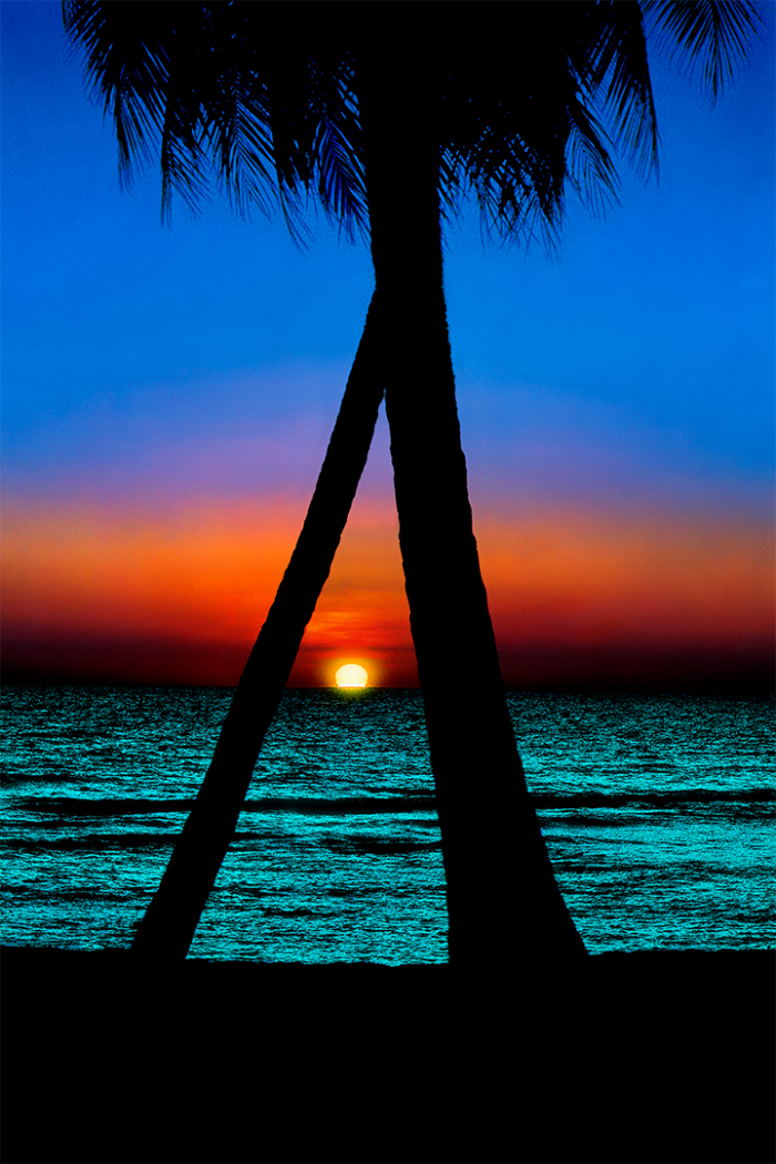 Tropical Blues