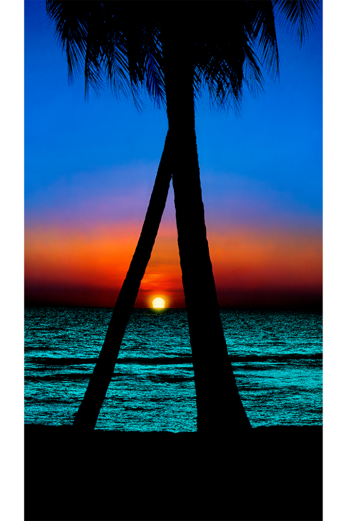 Tropical Blues - Image 2