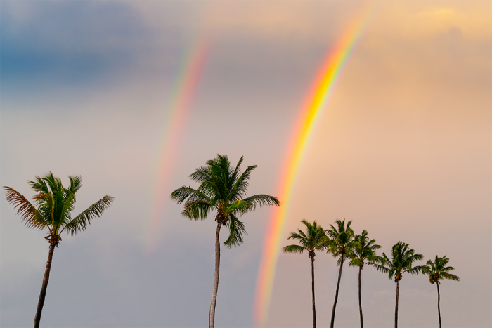 Tropical Spectrum