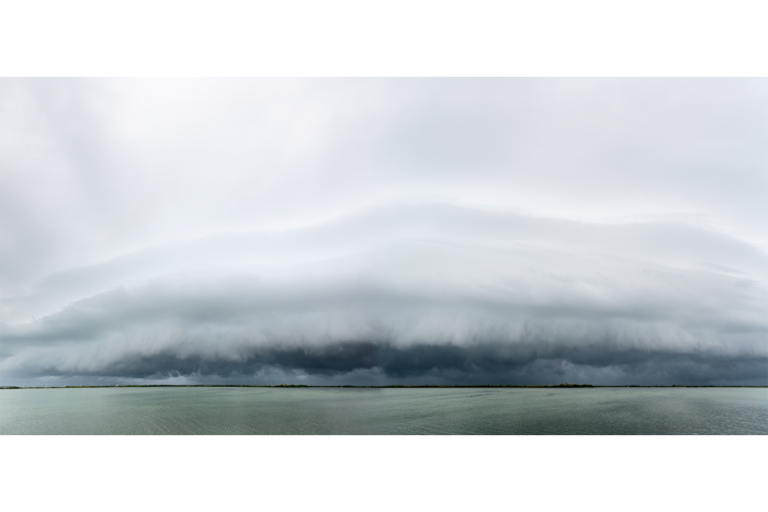 Tropical Wave