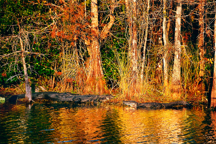 Turner River