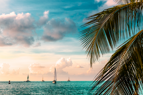 Twilight Regatta