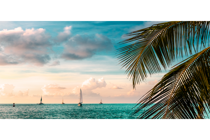 Twilight Regatta - Image 2