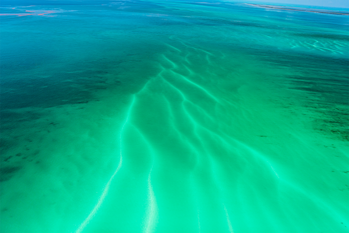 Undercurrent