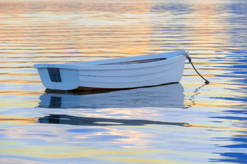 Wake of Dawn