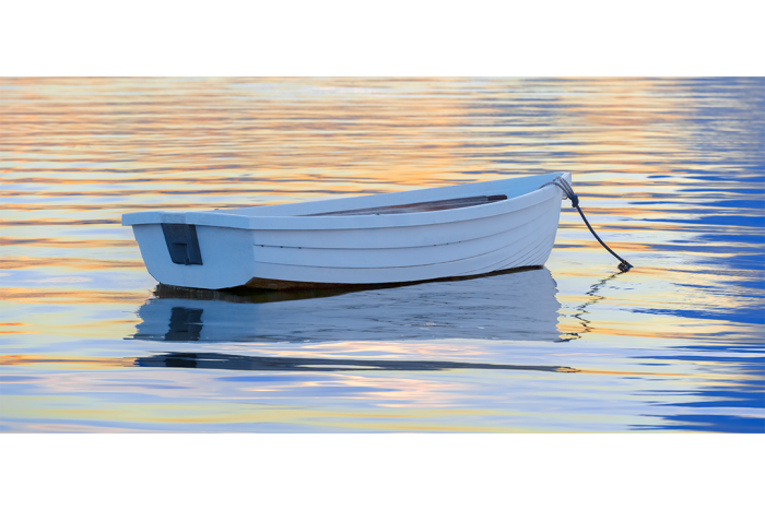 Wake of Dawn - Image 2