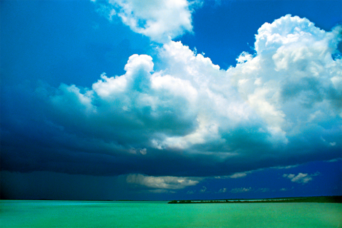 Weather in Transition