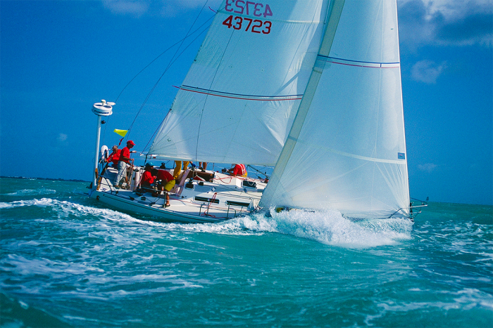 Yacht Race 1