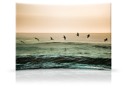 In Perfect Harmony Old Florida