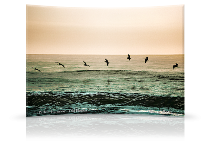 In Perfect Harmony Old Florida