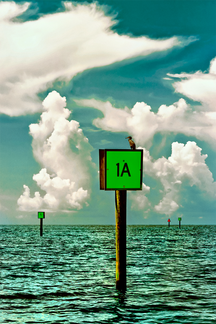 Beyond the Shallows V Old Florida