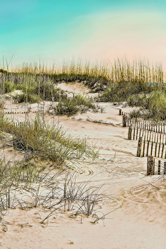 Daybreak on the Dune Old Florida