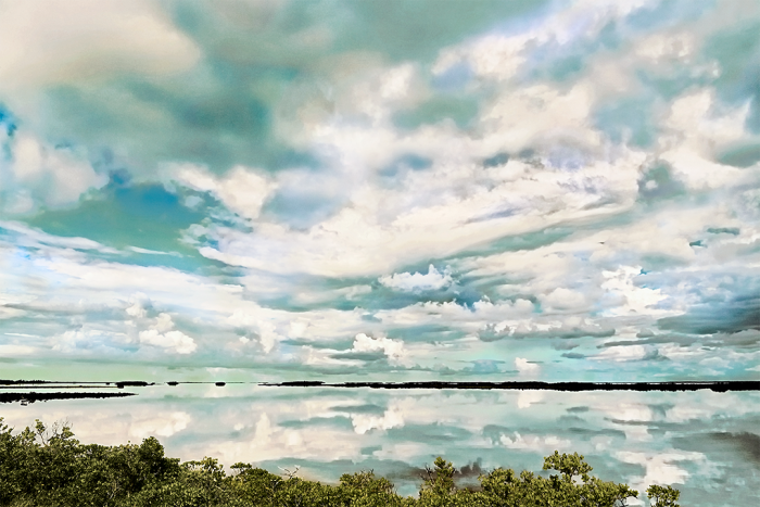 Drifting into Dreams Old Florida