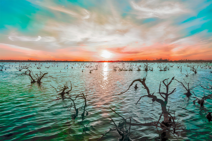 Journey Through Time Old Florida