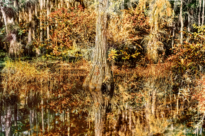 Loop Road Old Florida