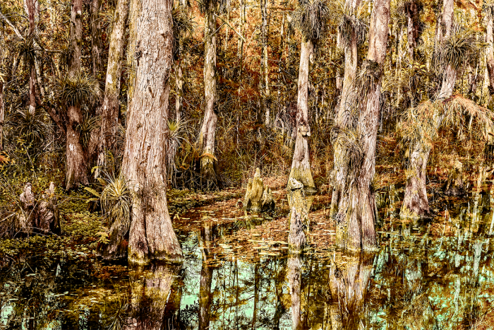 Lost in Time Old Florida