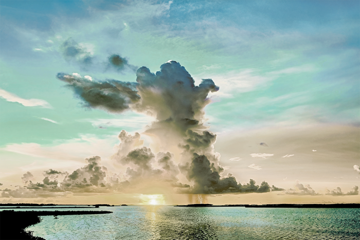 Opposing Forces Old Florida