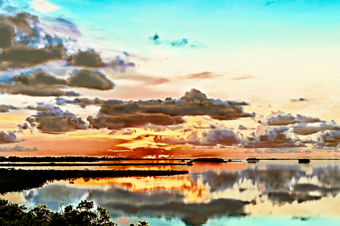 Reflecting on a Dream Old Florida