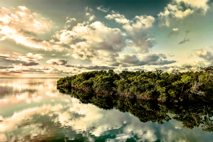 Reflective Revelation Old Florida