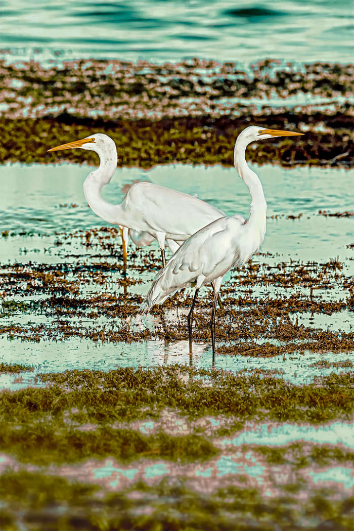Separate Ways Old Florida