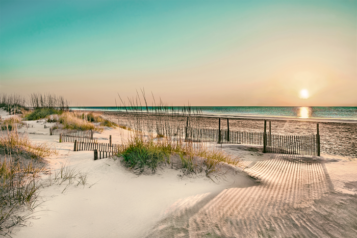 Shadows Along the Shore Old Florida