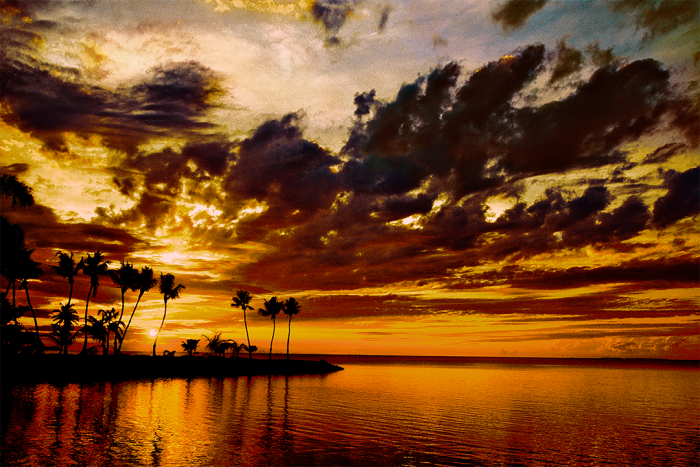 Silver Palm Sunset 2 Old Florida