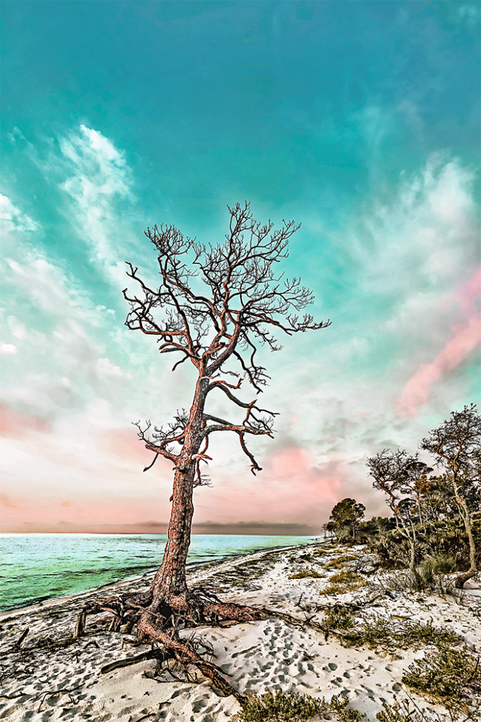 Solitude Old Florida