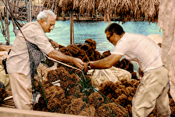 Sponging Off the Sea Old Florida