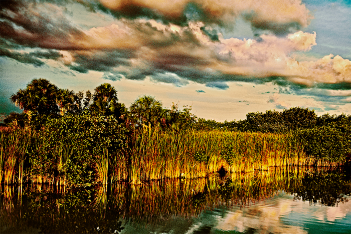 Subtle Beauty Old Florida