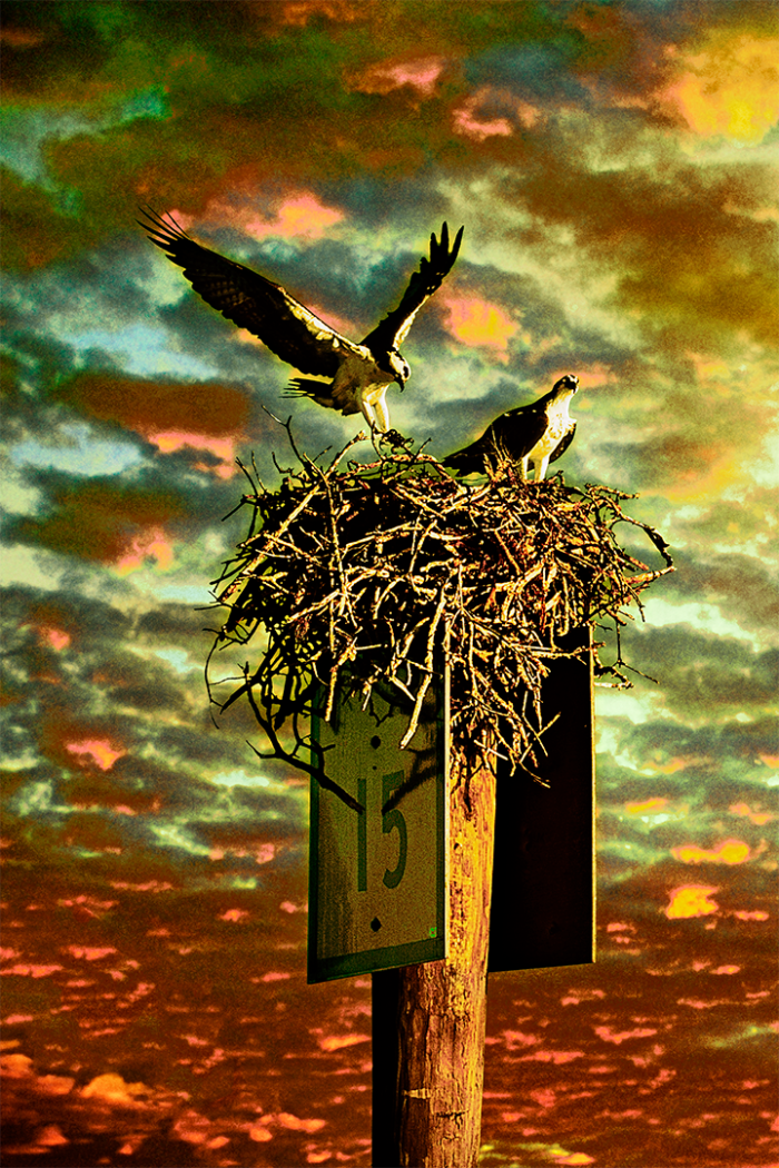 Sunrise at Marker 15 V Old Florida
