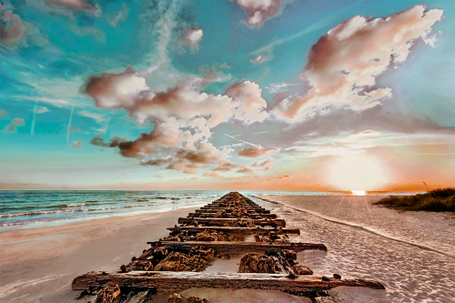 Tracks of Time Old Florida