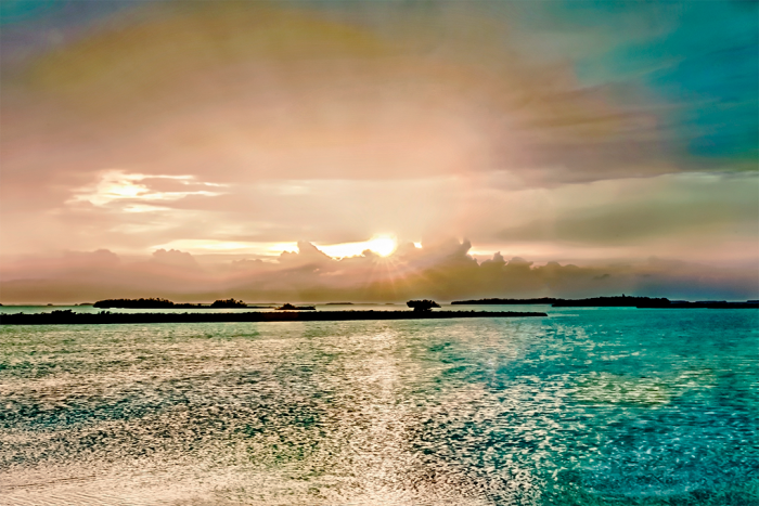 Transcendental Old Florida