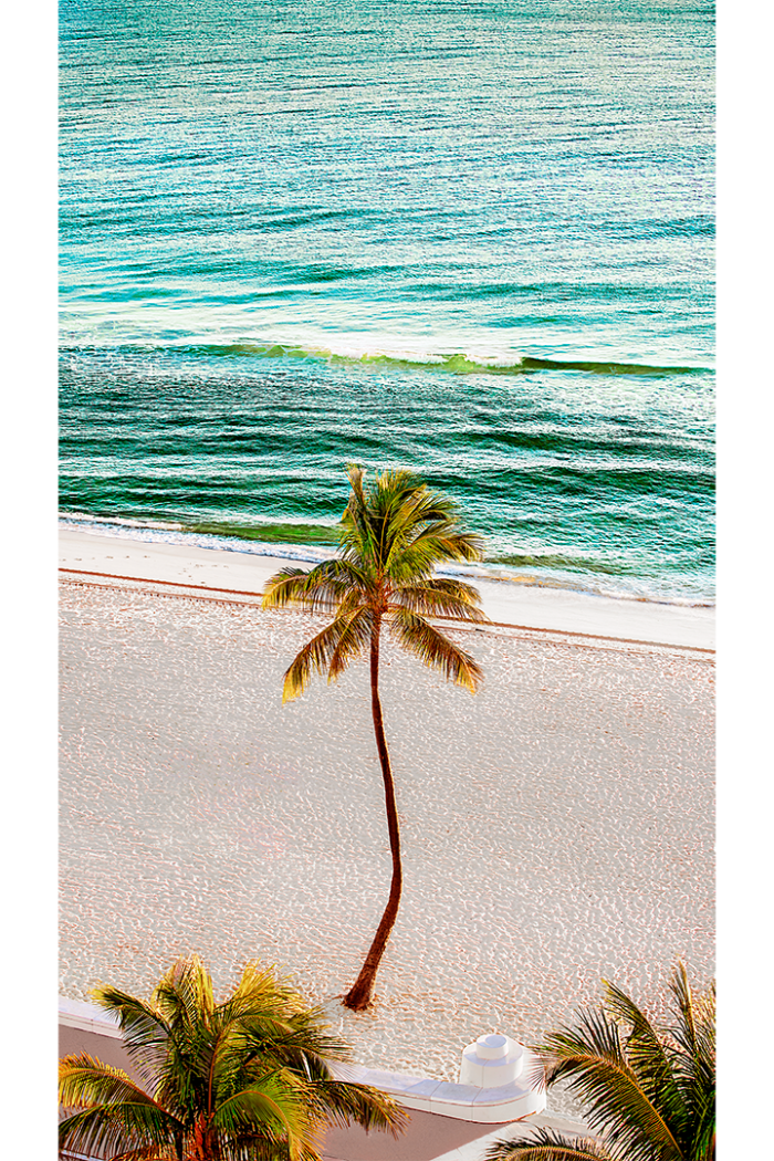 Tropical Perspective Old Florida - Image 2