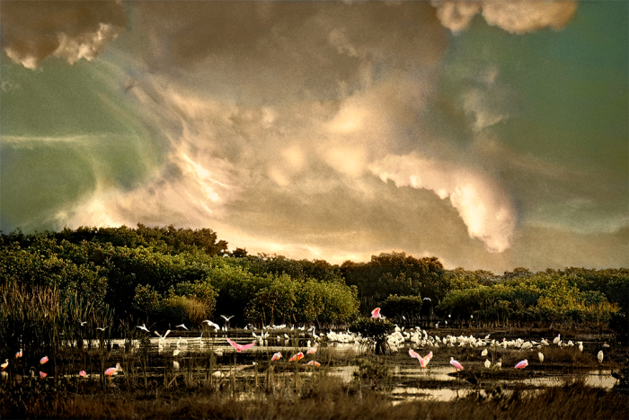 Twilight Refuge Old Florida