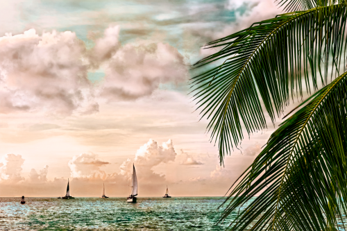 Twilight Regatta Old Florida