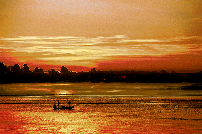 Twilight Ritual Old Florida