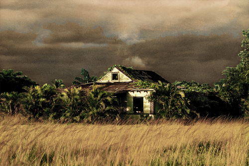 Vanishing in Time Old Florida