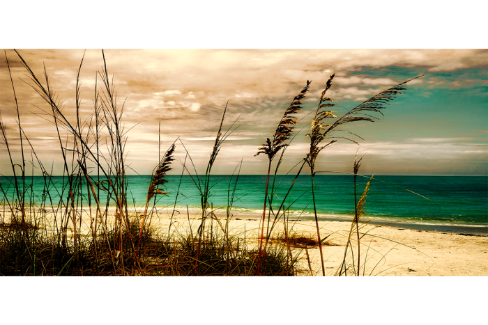 Whispers Along the Shore Old Florida - Image 2