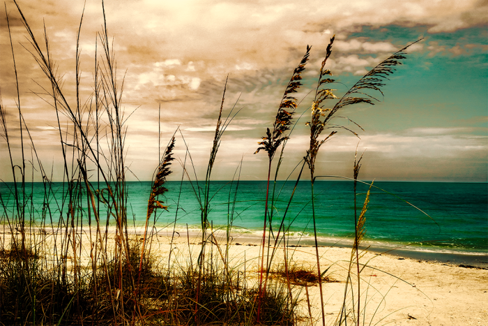 Whispers Along the Shore Old Florida