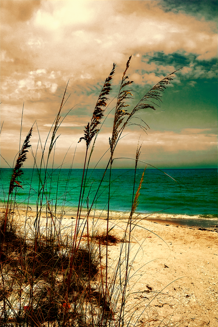 Whispers Along the Shore V Old Florida