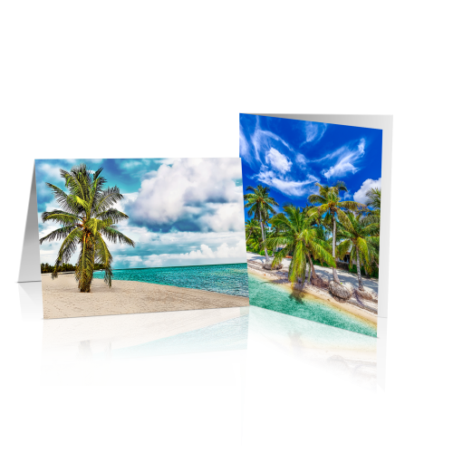 Palms