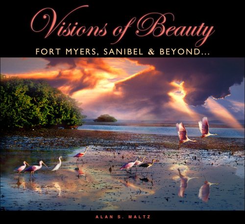 Visions of Beauty